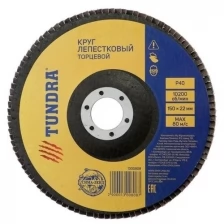 Круг лепестковый торцевой TUNDRA, 150 х 22 мм, Р40